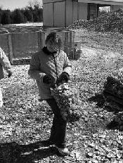 Students bagged oyster shells that were deposited at the base of the reef.